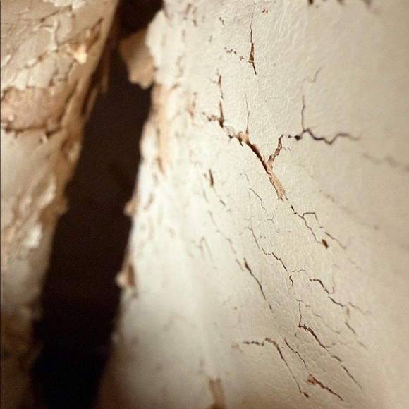 Schutz Booties - Picture 5 of 5